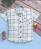 blushh berry Cotton Blend Woven Half Sleeves Checked Shirt - Light Green