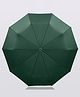 Little Surprise Box Solid Auto Closure Umbrella - Green