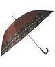 Little Surprise Box Checked Umbrella - Brown