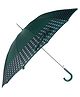 Little Surprise Box Checked Umbrella - Green