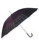 Little Surprise Box Checked Umbrella - Mauve
