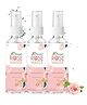 Dr. Morepen Pure & Natural Rose Water Spray for Face, Alcohol Free Toner - 100ml Pack of 3