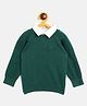 JWAAQ Cotton Knit Full Sleeves Tortoise Embroidered Sweater - Green