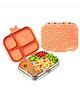 Basil Stainless Steel 4 Compartment Bento Lunch Box with BPA free Plastic Lid for Kids, 800 ml - Coral Swirl