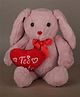Dukiekooky Plush Hopper Bunny with Heart, Purple and Red, Soft Stuffed Animal Toy for Boys and Girls Height - 27 cm