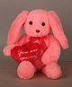 Dukiekooky Plush Hopper Bunny with Heart, Dark Pink and Red, Soft Stuffed Animal Toy for Boys and Girls Height - 27 cm