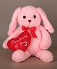Dukiekooky Plush Hopper Bunny with Heart, Baby Pink and Red, Soft Stuffed Animal Toy for Boys and Girls Height - 27 cm