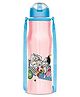 Milton Sipmate 650 Stainless Steel Sipper Water Bottle 600 ml, Single Walled, Leak Proof Lid, Rust Proof, For School, Office, Gym, Pink (Looney Tunes)