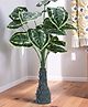 Foliyaj 18 Leaf Money Plant3 with Floor Green Base