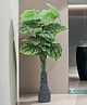 Foliyaj 18 Leaf Alocasia-D Plant with Floor Base
