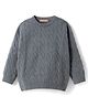 Kanvin Cotton Knit Full Sleeves Pullover Sweater with Cable Knit Design - Grey