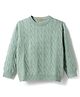 Kanvin Cotton Knit Full Sleeves Pullover Sweater with Cable Knit Design - Mint