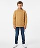 Kanvin Cotton Knit Full Sleeves Turtle Neck Pullover Sweater with Cable Knit Design - Tan