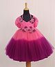 Li & Li Couture Net Woven Twirled Sleeves Stones Embellished Floral Applique Detailed Ombre Gown - Pink & Purple