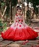 Li & Li Couture Net Woven Sleeveless Floral Applique Detailed Gown - Peach & Red