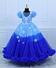 Li & Li Couture Net Woven Half Frill Sleeves Snowflakes Embroidered & Pearls Embellished Gown - Light Cobalt Blue & Dark Royal Blue