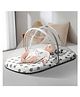 StarAndDaisy Essentials 3 in 1 Baby Sleeping Bag for New Born Baby Carrier for New Born Soft and Comfortable Baby Bed for 0-6 Months Washable Cotton Design, Grey