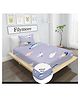 Filymore Cute Fish Elastic Fitted bedsheet for single bed 240 TC made with pure microfiber 1 bedsheet and 1 pillow covers (Size 72x36 inches)fit up to 6 inches mattress(Colour-Purple)