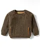 Yellow Apple Knit Full Sleeves Sweater With Textured Design - Dark Brown