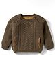 Yellow Apple Knit Full Sleeves Sweater With Textured Design - Dark Brown
