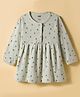 Pink Rabbit Single Jersey Knit Full Sleeves Frock with House Print - Light Green