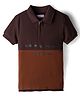 US Polo Assn Cotton Half Sleeves Polo T-Shirt With Brand Text Print - Brown