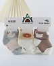 Kidofash Cotton Knit Pack Of 3 Birds Designed Socks - Brown