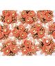 Asian Hobby Crafts Fabric Flower - Peach, Set of 10, Size: 6cm