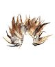 Asian Hobby Crafts Natural Dyed Feathers - Wild Hen, 80 Pcs