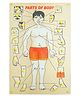 Hop N Play Wooden Parts of Body Identification Puzzle with Knob- Multicolour