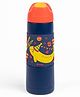 Kicups Stainless Steel Kids Water Bottle  Double Wall Vacuum Insulated Flask  12 Hours Hot & Cold  Water Bottle For Girls/Boys Fin Fiesta Blue - 550 ml