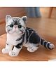 Tickles Cute Cat Soft Stuffed Plush Animal Toy for Kids Boys & Girls Birthday Gifts (Color: Grey Size: 20 cm)