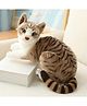 Tickles Musical Cat with Meow Meow Sound Soft Stuffed Plush Animal Toy for Kids Boys & Girls Birthday Gift (Color: Brown; Size: 20 cm)