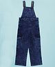 Kiddopanti Denim Woven Sleeveless Washed Dungaree - Medium Rag Blue