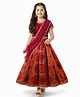 Pine Kids Woven Half Sleeves Lehenga Choli Set With Floral Print & Dupatta - Rust Orange