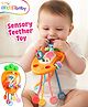 Intellibaby Carrot Sensory Teether for Babies | Pull-String Teething Toy | Multi-Coloured Vegetable | Soft BPA-Free Silicone | Gum Relief | Paediatrician Approved | BIS Certified | Ideal For Gifting