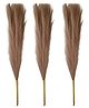 YOGO DECOR Fluffy Pampas Grass Artificial Flower -Brown, Set of 3 Sticks for Home & Office Decor -Elegant & Durable Artificial Flowers -Ideal for Hotels, Restaurants or Floral Bouquets Arrangements