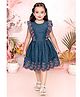 Tiny Twills Denim Woven Sleeveless Frill Detailed Floral Embroidered Dress - Denim Blue