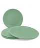 Superware Melamine Dinner Plate Set 11 inch - GREEN SAND (P1269) (Set Of 6)