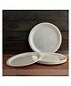 Superware Melamine Dinner Plate Set 11 inch - GLOSSY SUPER PEARL (P6161) (Set Of 6)