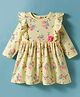 ToffyHouse Knit Full Sleeves Frock With Floral Print & Applique - Yellow