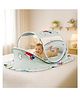 StarAndDaisy Baby Bed with Mosquito Net mosquito Net for Kids -Car Print