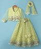 Babyhug Net Woven Three Fourth Choli Lehenga & Dupatta Set With Sequin Embriodery - Green