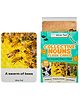 WiseTed Collective Noun Flash cards - 30 cards
