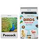 WiseTed Birds Flash cards - 30 cards