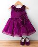 BlueBell Tissue Woven Sleeveless Party Dress with Floral Applique & Booties - Wine