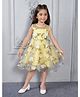 Ministitch Organza Woven Sleeveless Floral Applique Detailed Dress - Yellow