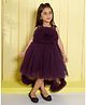 Ministitch Net Woven Sleeveless Ruffle Detailed High Low Dress - Wine