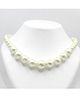 Milyra Beads Embellished  Necklace - Off White