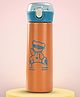 BAYBEE Dreamer Baby Sipper Water Bottle with Straw for Kids | Spill-Proof & BPA Free Stainless Steel Sipper Water Bottle 500ml | Drinking Training Sippy for School Kids & Toddlers Boys Girls (Orange)